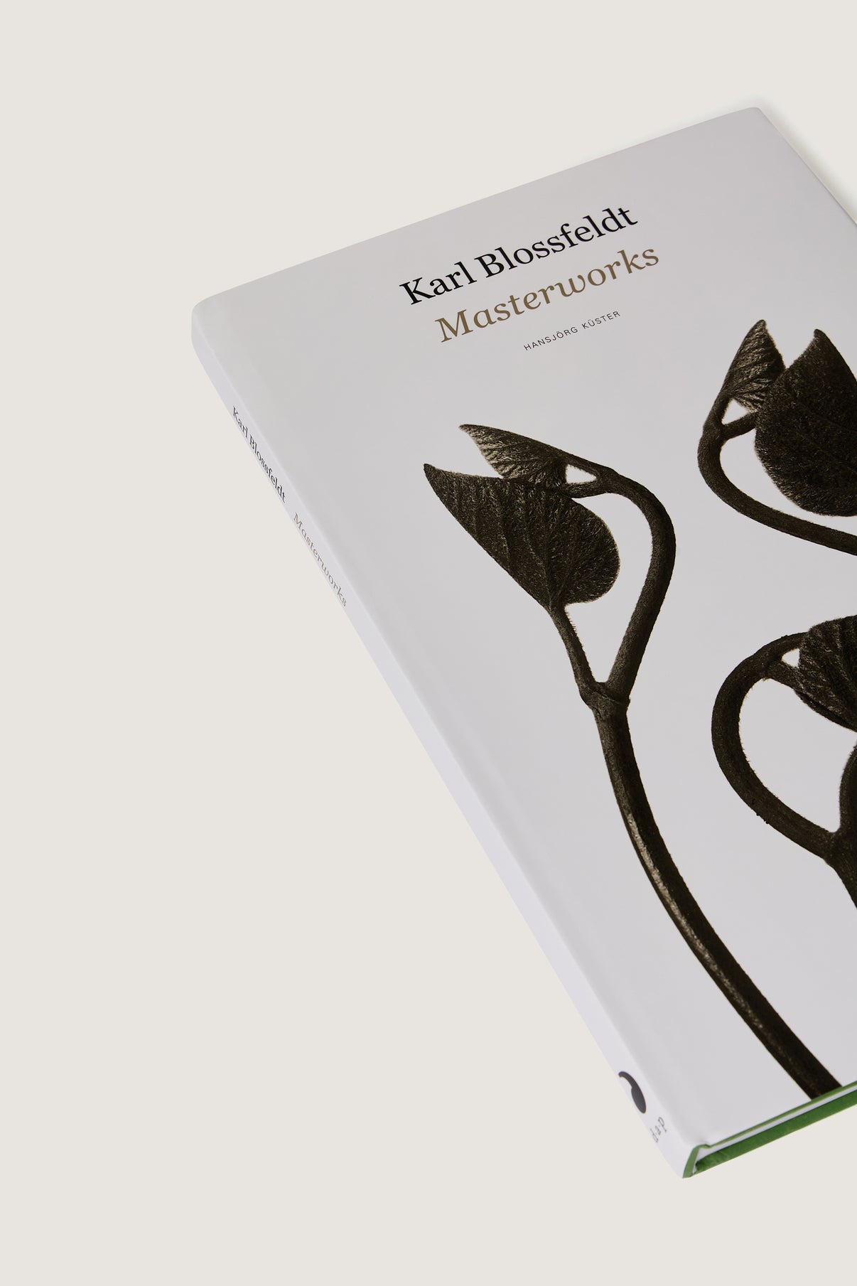 LIVRE "KARL BLOSSFELDT : MASTERWORKS" vue 2